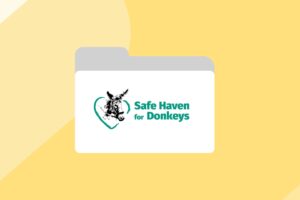 An image with a folder and Safe Haven for Donkey's logo on, with yellow background